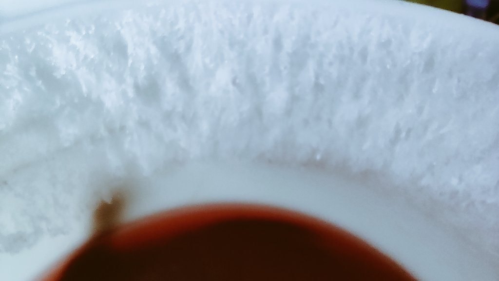 MariaGa179's tweet photo. Ice https://t.co/9P0UxvPdJC