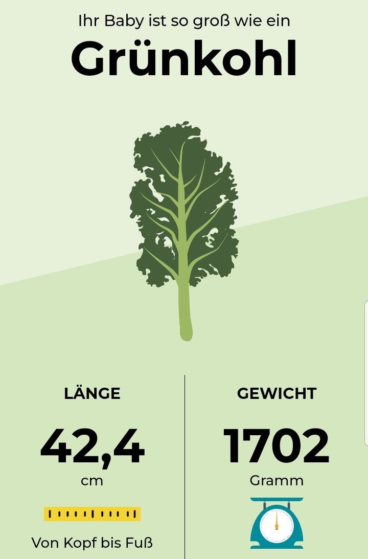 RPferdemadchen's tweet photo. #wochenwechsel #junibärchen
Grünkohl oder Honigmelone, das ist hier die Frage 😂
Die letzte Arbeitswoche startet und sie ist auch noch kurz. 🥳🥳 https://t.co/aVPVsDuxUo