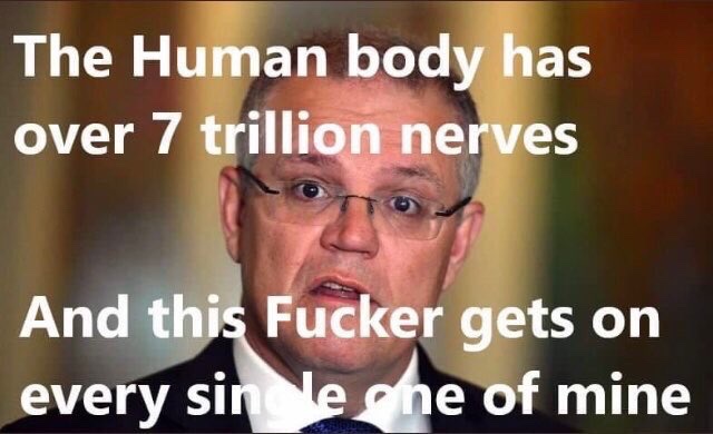 KimWill91254108's tweet image. It’s going to be a long long 6 weeks..🤦🏻‍♀️