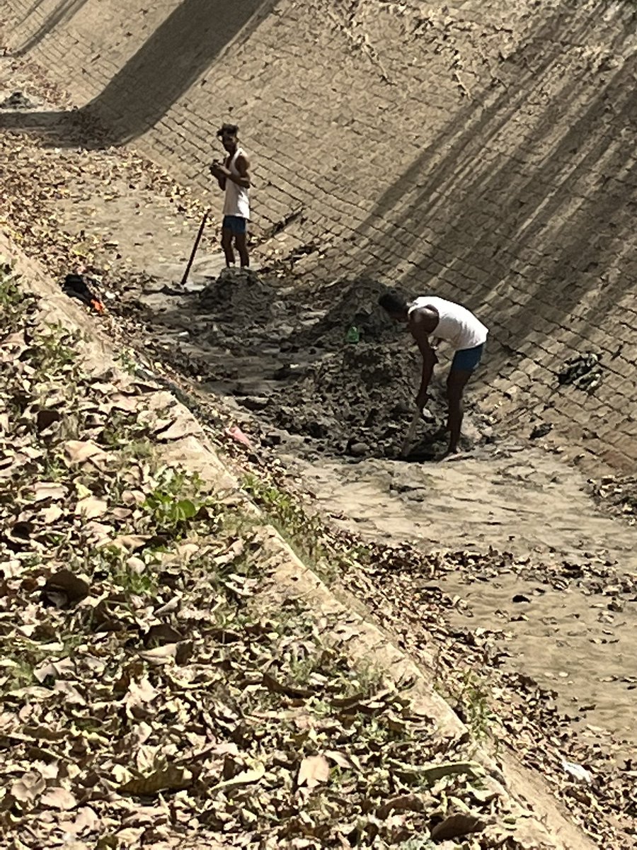 Saphal Harpreet Singh tweet media