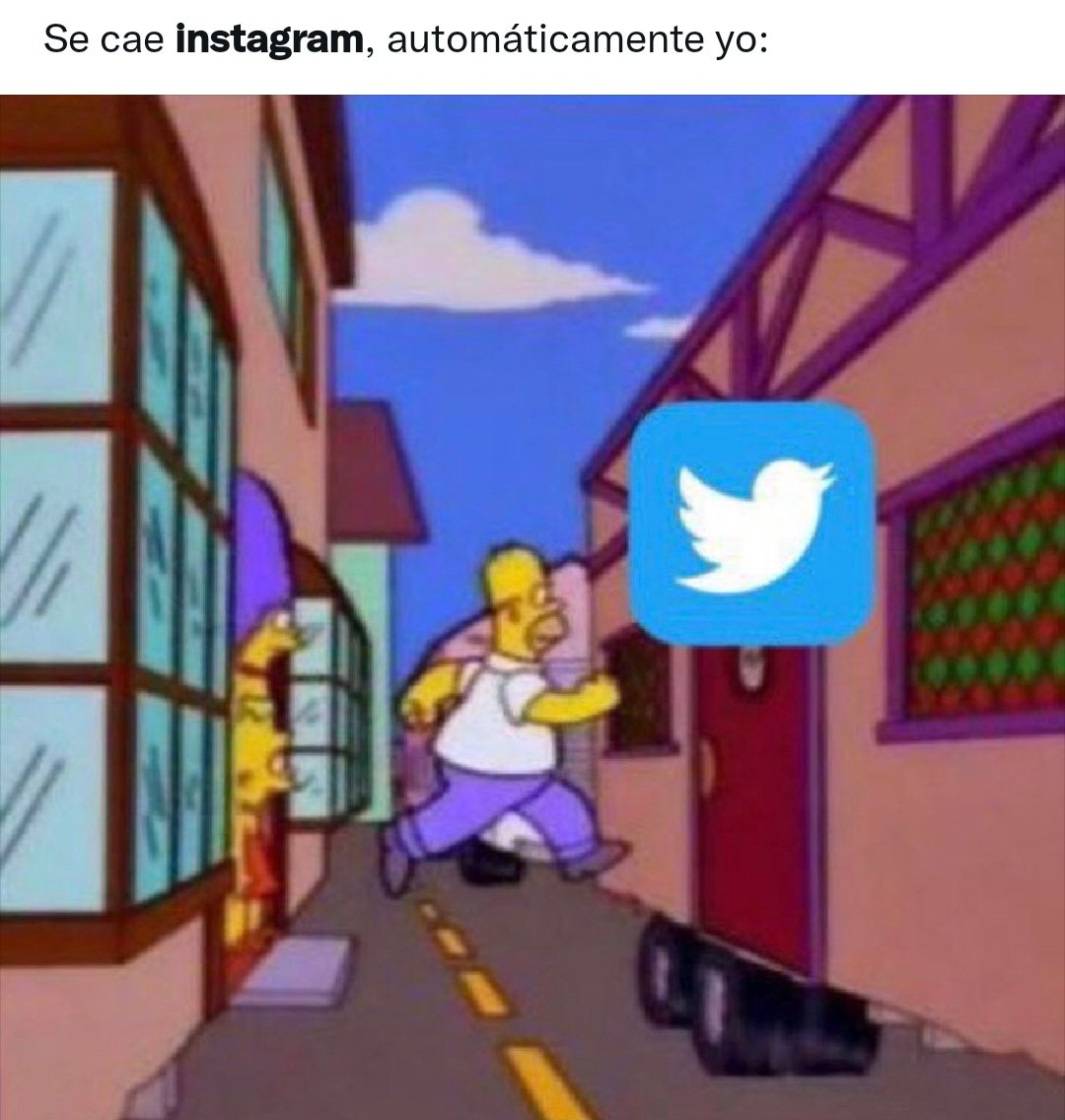 Dulce Arango tweet media