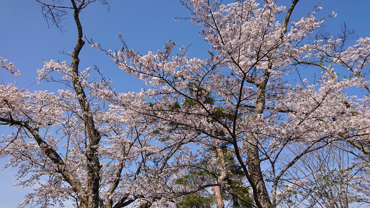 Y.Takahashi tweet media