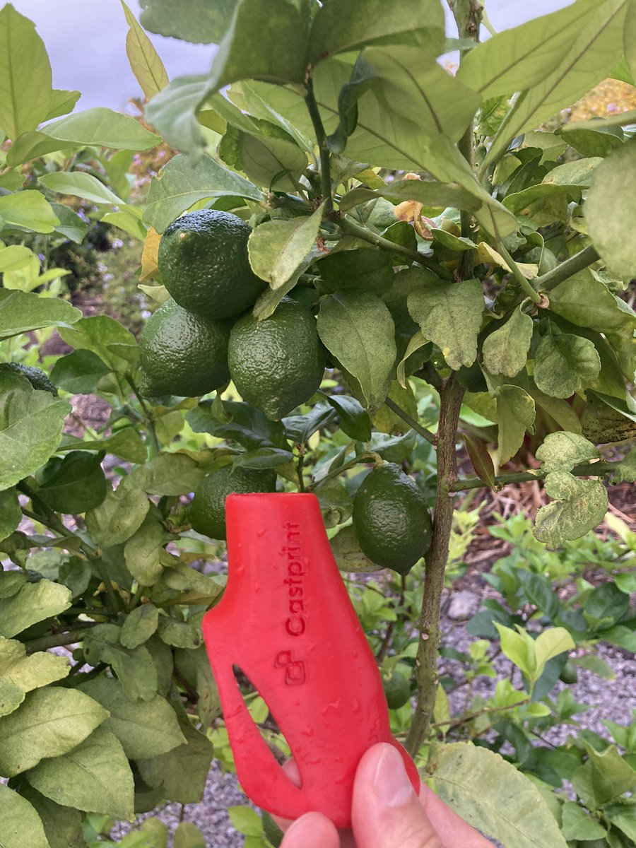 DrBrettCarey's tweet photo. Plant based bio resins &amp; filaments, 100% custom splints made in my backyard w/ 100% solar energy @cast_print @3DPrintingUoft @3dheals @Glia_Intl @desktophealth https://t.co/WE77XscMPf