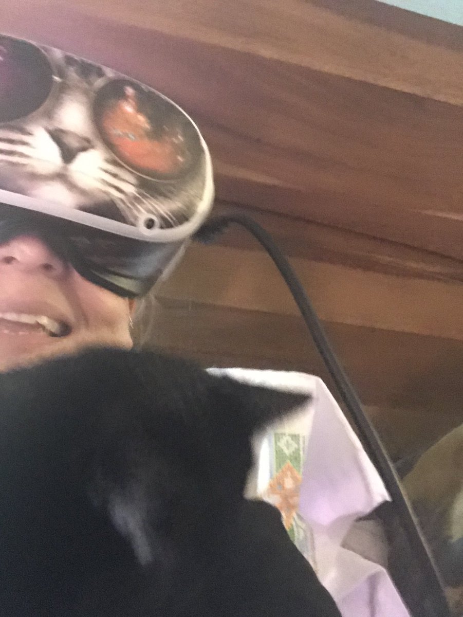 BevyWolfUSA's tweet photo. Me trying to #VR with my awesome #Oculus2 and well, Hermie just wanted my attention 😂
#Oculus #NeverBoard #ShadowPoint #DownTheRabbitHole #CatsOfTwitter #Caturday #TheRoom #Moss #VirtualReality https://t.co/MWeBfvlaVP