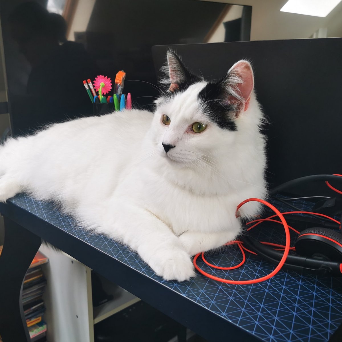 AJProductsUK's tweet image. Has your favourite work colleague grown four legs and a tail recently?

Celebrate National Pet Day with us by joining us in sharing a photo of your pet, be it fluffy, feathery or scaly.

#nationalpetday #petday #petatwork #officedog