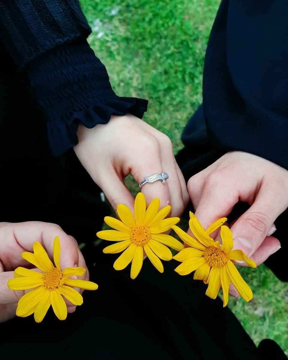 صِـبّـآحكمِ آبيض گ دعآء #آمـي 
    وآلخير آلذي يسـگن قلبهآ 💛💙💚