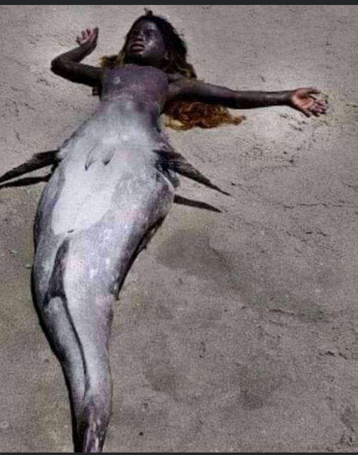 PerfectGlow6's tweet photo. Hebu sasa tuongee ukweli si hii mermaid  Iko na hips mi naona hio figure imeshinda ya vera sidika 😁😁✌️ https://t.co/BAfu31RhUc