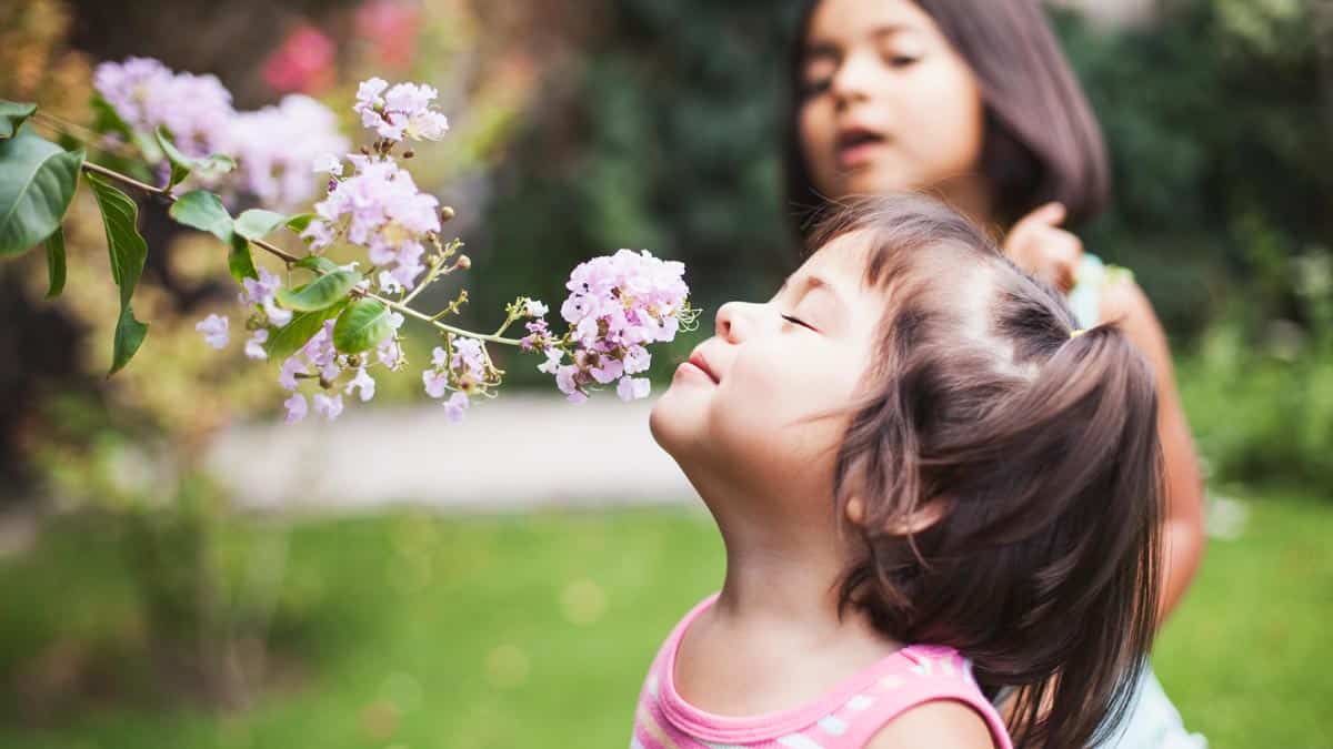 CaraSantaMaria's tweet photo. Research suggests our preferences for smells aren’t determined by cultural factors. 👃
#Smell #Culture #BadSmells #GoodSmells #Olfaction #Odor
https://t.co/Tc1cw2feCS via @CosmosMagazine https://t.co/z2gkmedjIA