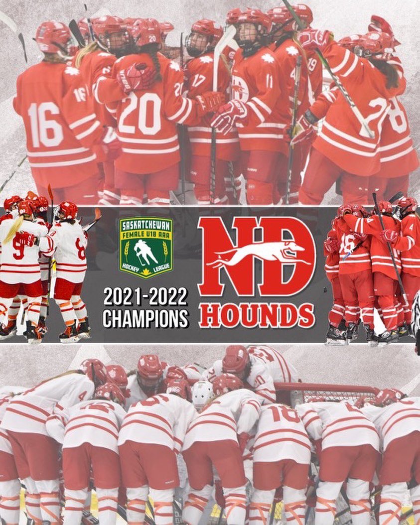 Notre Dame Hounds Hockey tweet media