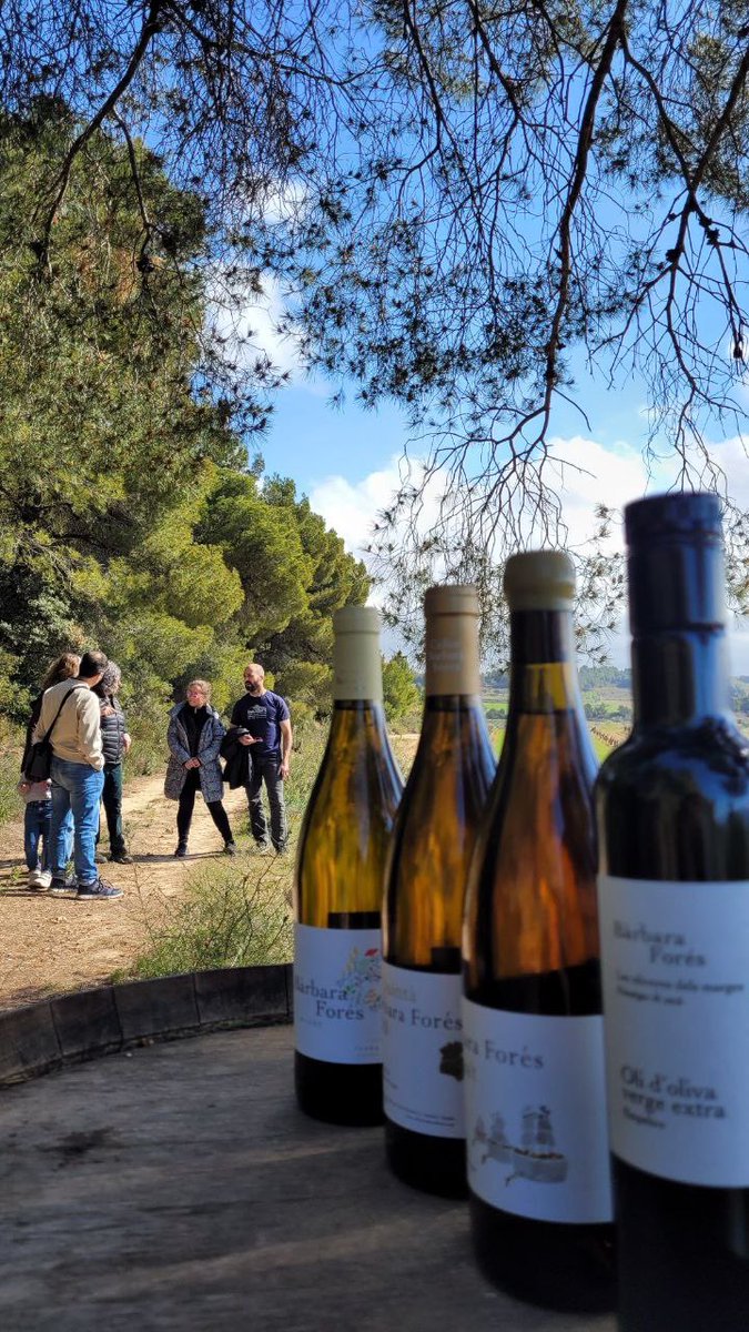 CBarbaraFores's tweet photo. 🌿🍷 Un passeig per la vinya, una mirada contemplativa, el silenci del paisatge, les flors, la farigola florida i les seues aromes a pasqua…els primers brots de la vinya, les herbes dels marges i la verdor de les cobertes vegetals, la història vitivinícola d’una comarca que 👇🏽 https://t.co/sPKszYwmwh