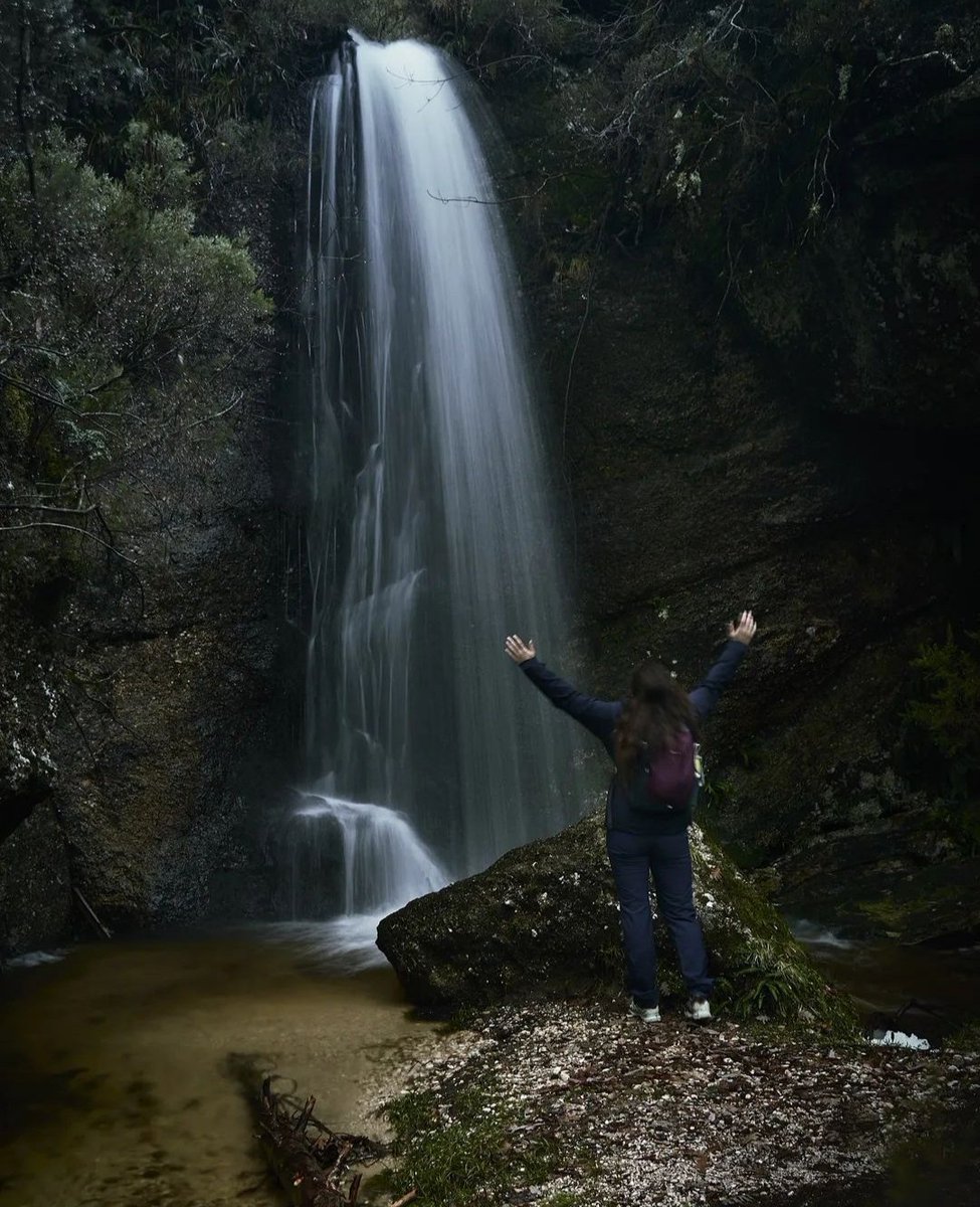 ¡Hoy nos detenemos en la Chorlita!
Uno de los saltos de agua que encontramos en la Ruta de las Cascadas I.
Entra en Duruelo de la Sierra web duruelonaturalezasideral.com/category/casca…
📸 @luispalacios_fotografia
#duruelo #duruelodelasierra #Soria # #castillayleon <a href="/CyLesVida/">Turismo Castilla y León</a> #naturaleza #turismo