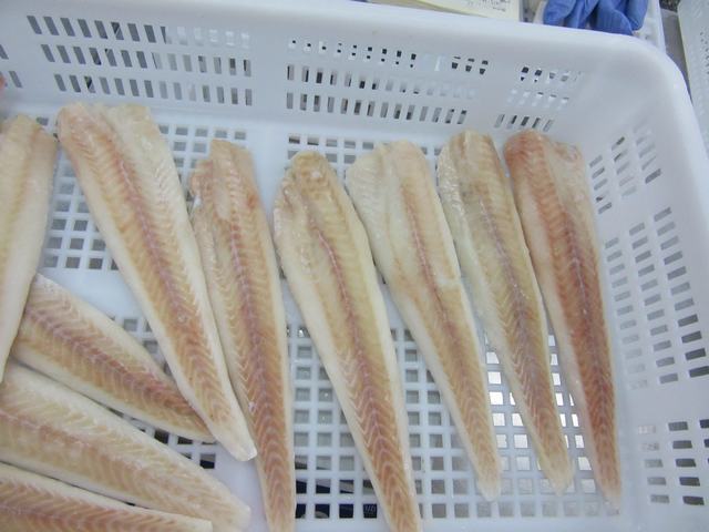 BillionFishFish's tweet photo. Alaska Pollock Fillets 
High quality, 100% NW, IQF,
3-5oz, 5-7oz &amp; 7-9oz
PM or email yangjun03@billionfish.com https://t.co/W4Mc05ardW