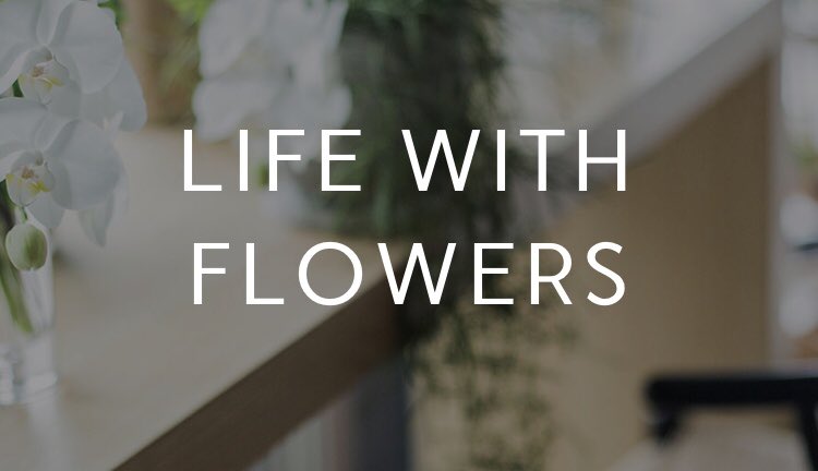 大塚智子 ジュールドゥ Jourdouxohtsuka Twitter 大塚智子 ジュールドゥ Jourdouxohtsuka Twitter