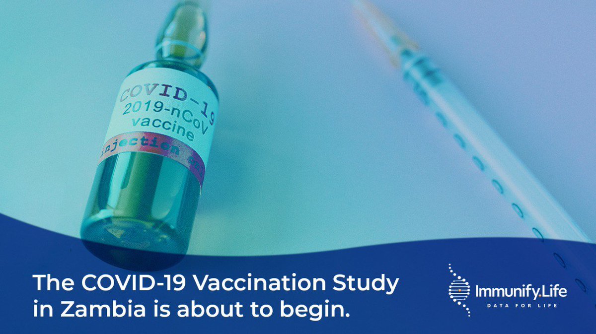 ImmunifyLife's tweet photo. We have exciting news to share 🔥💪🏼

We have filed for regulatory approval to undertake a #COVID19 vaccination study in three locations in #Zambia. 🚀🌟

#immunifylife #dataforlife #blockchain #covid19 #vaccination #zambia #immunifiers $IMM https://t.co/N6nTJfReiv