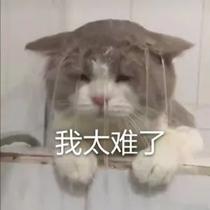 Lollypop1284's tweet photo. 日常会話によく使う言葉ーー【我太难了  wǒ tài nán le 
】​
日本語では、「（現実は）厳しすぎる」という意味です。
#スタンプ　#中国語スタンプ　#中国語勉強　#中国語学習 https://t.co/jzWuNfvj8Q