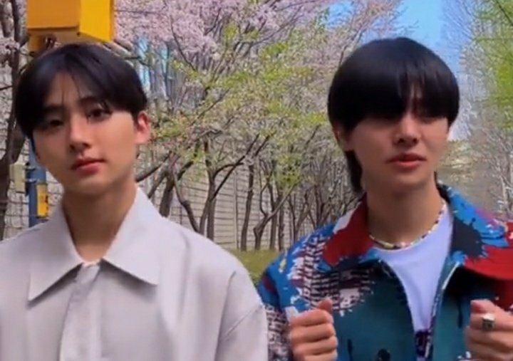 daily sangwon tweet media