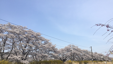 Nzyg29kz2jiczm Nzyg29kz2jiczm