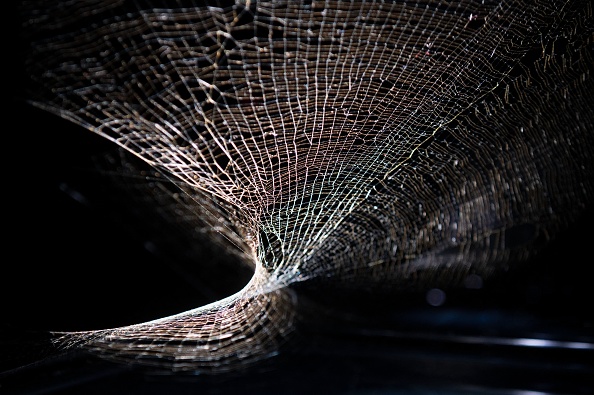 NoiseExperts's tweet image. Scientist Discovers How Spiders Use #Vibrations to ‘Listen’ to Their Surroundings short.gy/3xgC6A