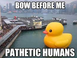 AshJugdav's tweet image. No dad, I&apos;m not going insane, I&apos;m just Rubber duck debugging #Coding #Unity #Debuging #RubberDuck