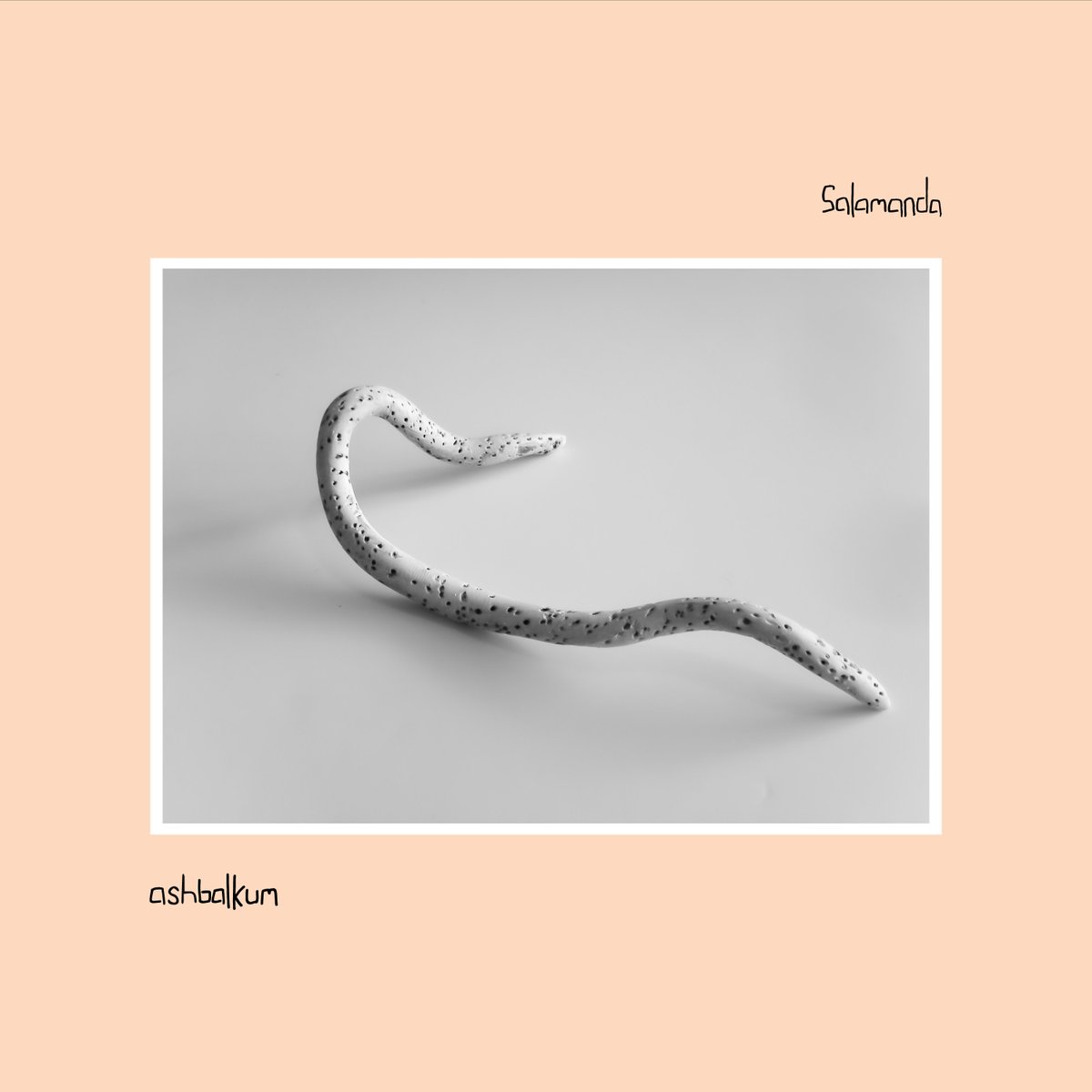 bleep's tweet photo. Pre-Order Now:
Salamanda - ashbalkum
@humanpitch

https://t.co/TKhsLZORnb https://t.co/WWxsARx97U