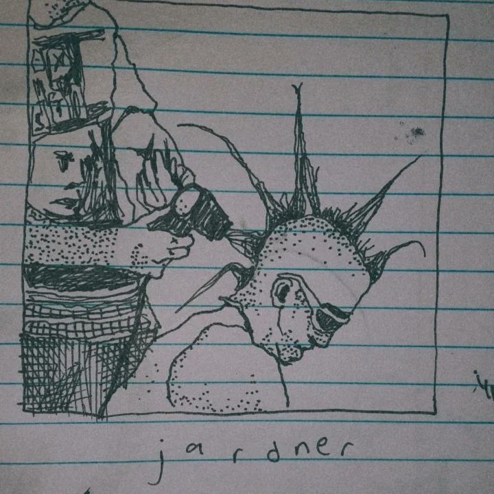 JARDNER. tweet media
