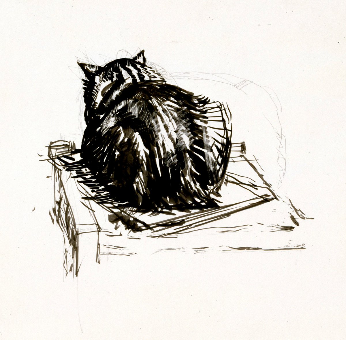 royalacademy's tweet photo. 🎨F. Ernest Jackson ARA, 'Study of a cat viewed from the back', ca. 1920-30. Pen and ink over pencil on card. 290 mm x 244 mm. © Photo: Royal Academy of Arts, London #RACollection https://t.co/955CZHkAiX