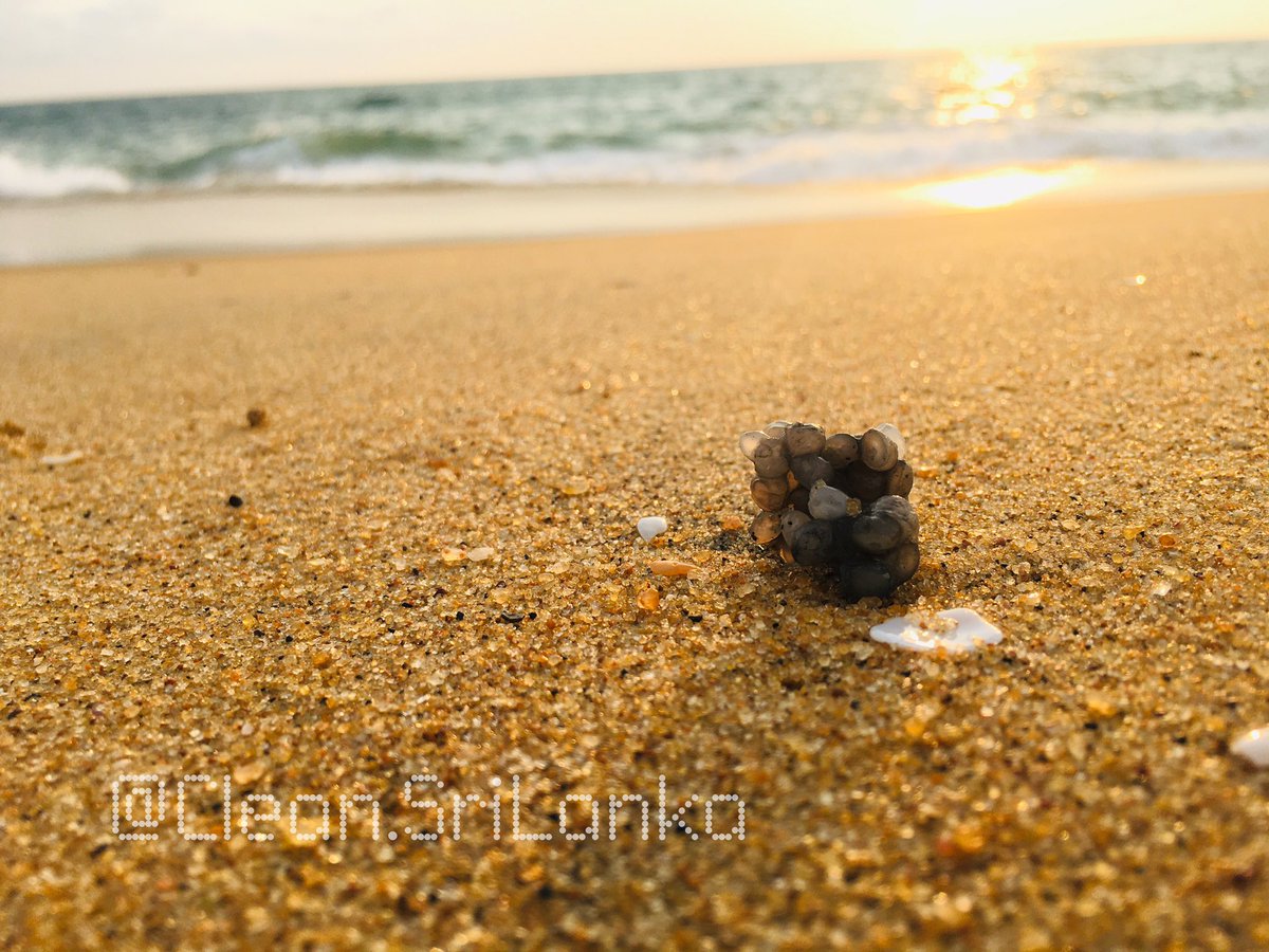 BeachCleanupSL's tweet photo. Still Washing up on the Beach.. Sri Lankan Leaders Created this Crises For Huge Commission❗️ #Plasticpebbles #Plastics #SrLanka https://t.co/kag6CpjI2l