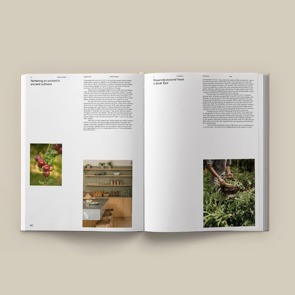 Holland Harvey tweet media