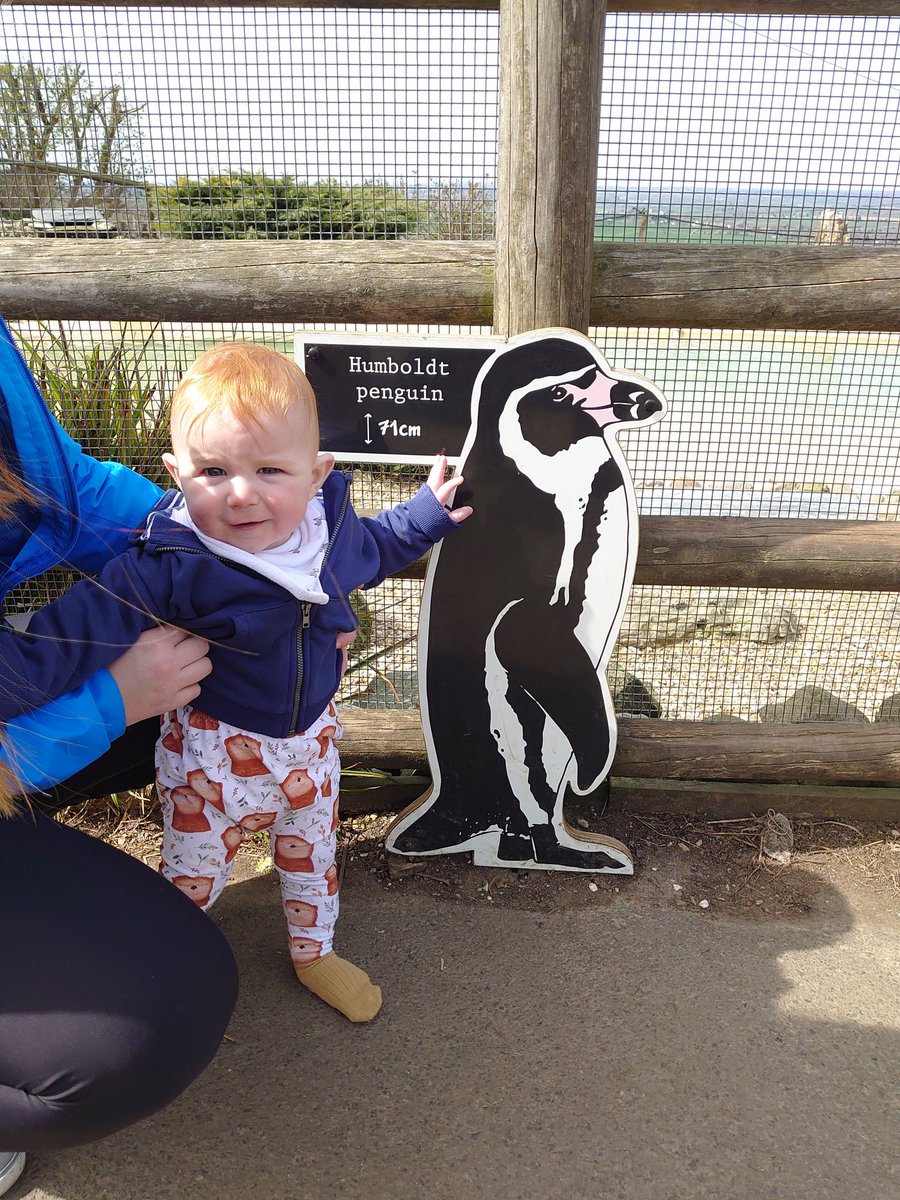 tobyking872's tweet photo. Seeing how the little guy measures up @ZSLWhipsnadeZoo. Think his favourite was @OfficialBlueyTV though! https://t.co/1mOBhwwOX4