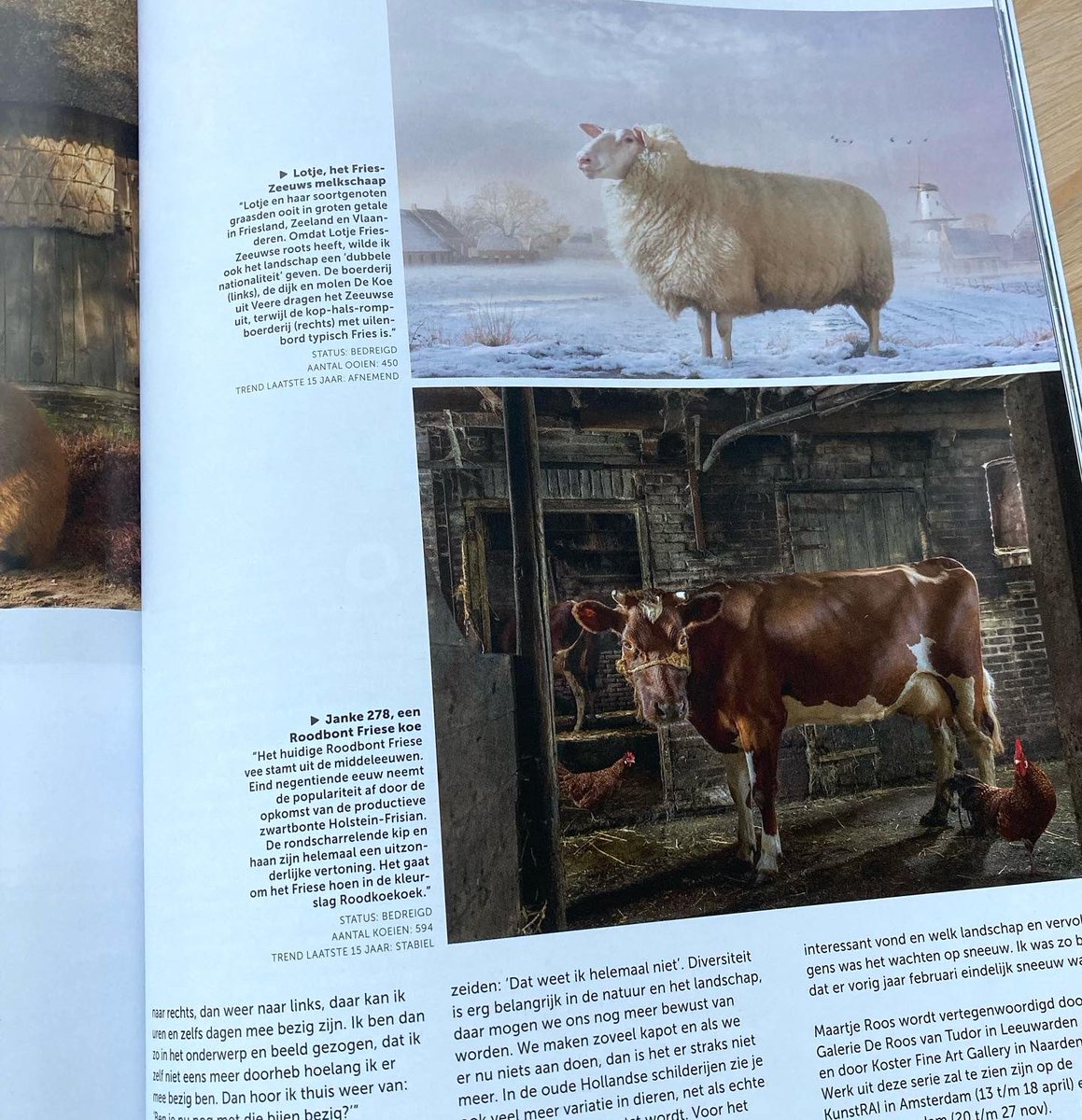 In @focusmedianl ! Interview over mijn werk en gebruik Fujifilm GFX50s

Nu in de winkel! Heb jij hem al?

#fujifilm #focus #fotografie #fineart #fotomagazine #interview #culrureellevenderfgoed