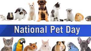 Happy National Pet Day to all from Mr Mylo, Ms Mishka, Lady LouLou and I … we hope your day is blessed and beautiful #TruTh #HappyNationalPetDay #Monday #TrioOfFluff 🔶🐾🌟🌟🌟🐾🔶