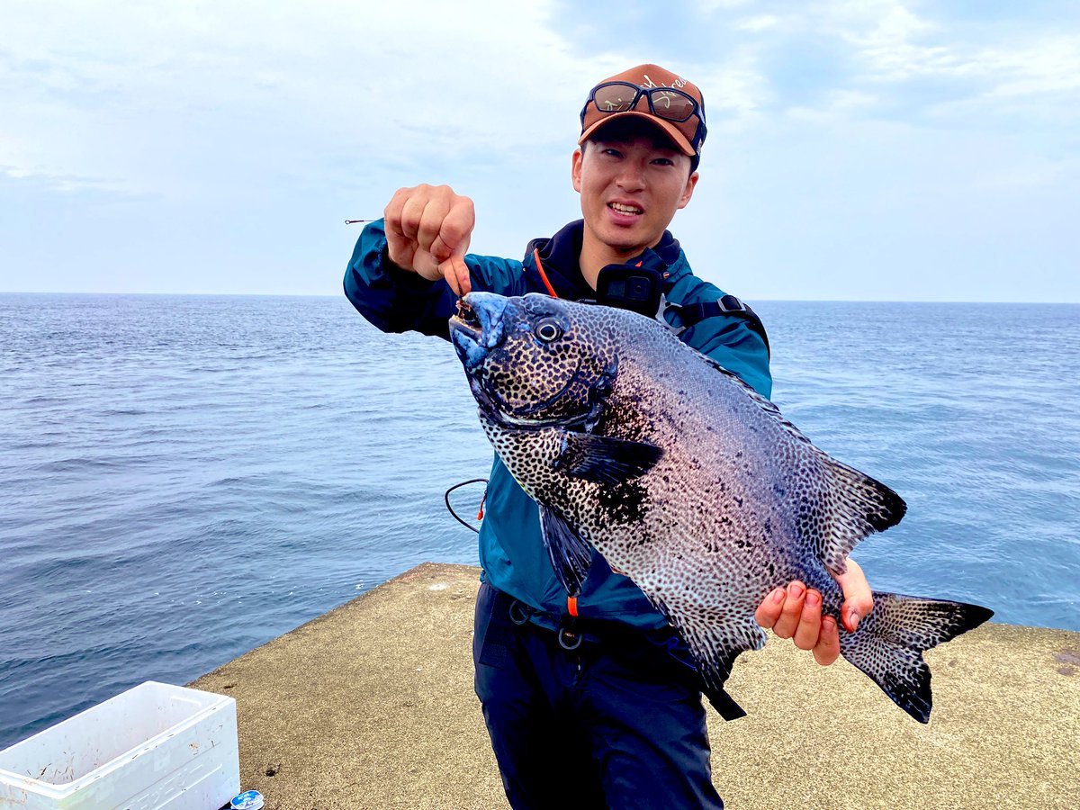 ika_god_'s tweet photo. 屋久島異次元の沖堤防ガイド始めます。
計2名でガイドを行います。

【ターゲット】
・クチジロ
・GT
・シブダイ
・タマン
・ゴマフエダイ
・クエ
・グレ
・スジアラ
・アオチビキ

タックルは全て複数ありますので、
手ブラでOKです。

楽しみたい！
デカい魚を釣りたい気持ちだけ持ってきて下さい。 https://t.co/u2eVIy0sbx