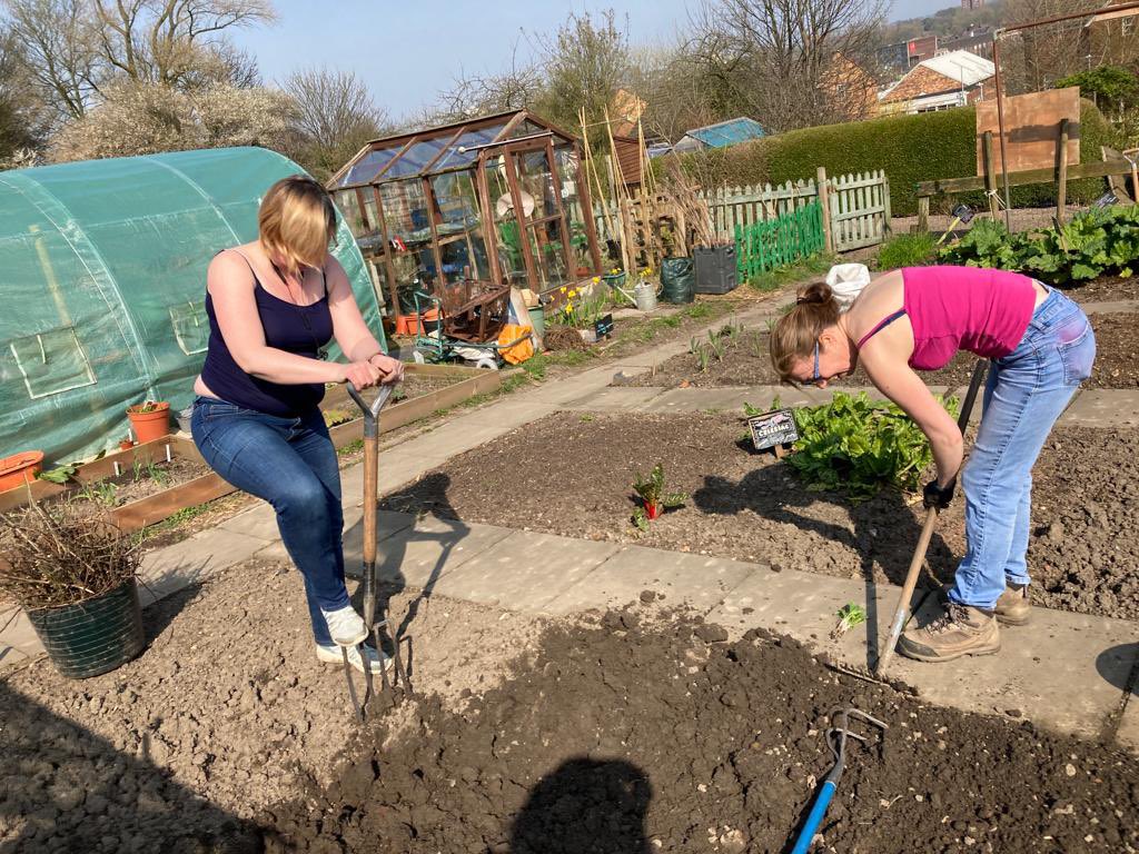 FestivalStoke's tweet photo. 💚 New Blog Post 💚
A bit of this and a bit of that up at The Greening Stoke allotment 🪴 
Read it here ⬇️
https://t.co/39GOVb2eTi
If it’s your kind of thing, sign up for regular updates whilst you’re there.
#allotmentlife #allotmentblog #greeningstoke @Lettingintlight https://t.co/X5wzUfC75P