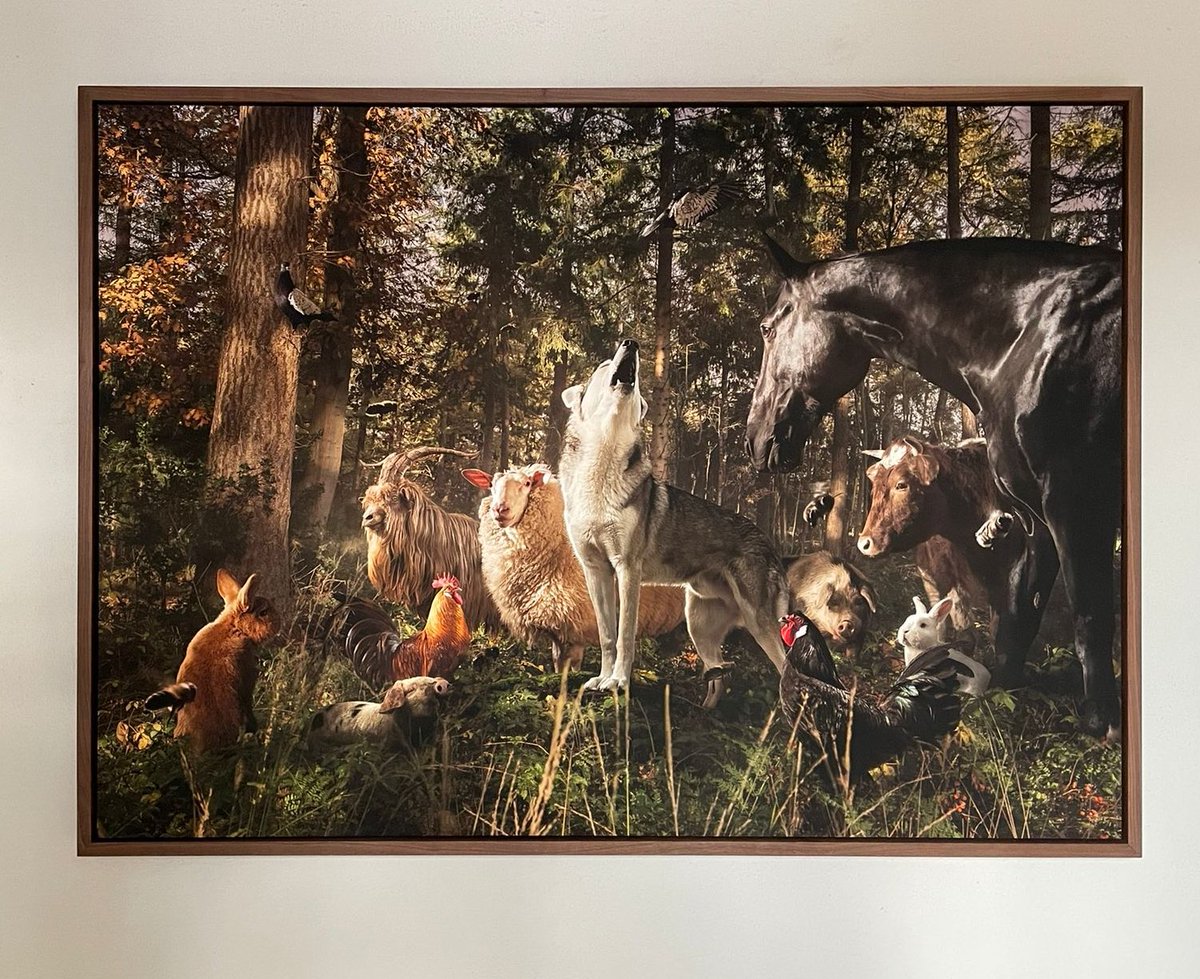 Het is bijna zover! Kunstbeurs KunstRAI 2022!

Ik ben ontzettend blij en dankbaar dat Anita, van <a href="/roosvantudor/">Galerie de Roos van Tudor</a> mijn werk voor de tweede keer presenteert op deze mooie kunstbeurs! 

#kunstrai #kunst #fotografie #fineartfotografie #artamsterdam #hedendaagsekunst #bosstilleven