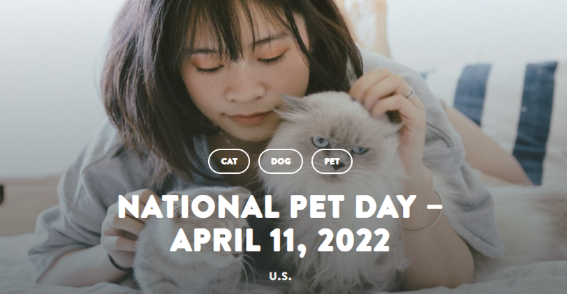 InterstateInfo's tweet photo. #NationalPetDay

Share a pic of your pet with us! https://t.co/jYzDdaDvAK