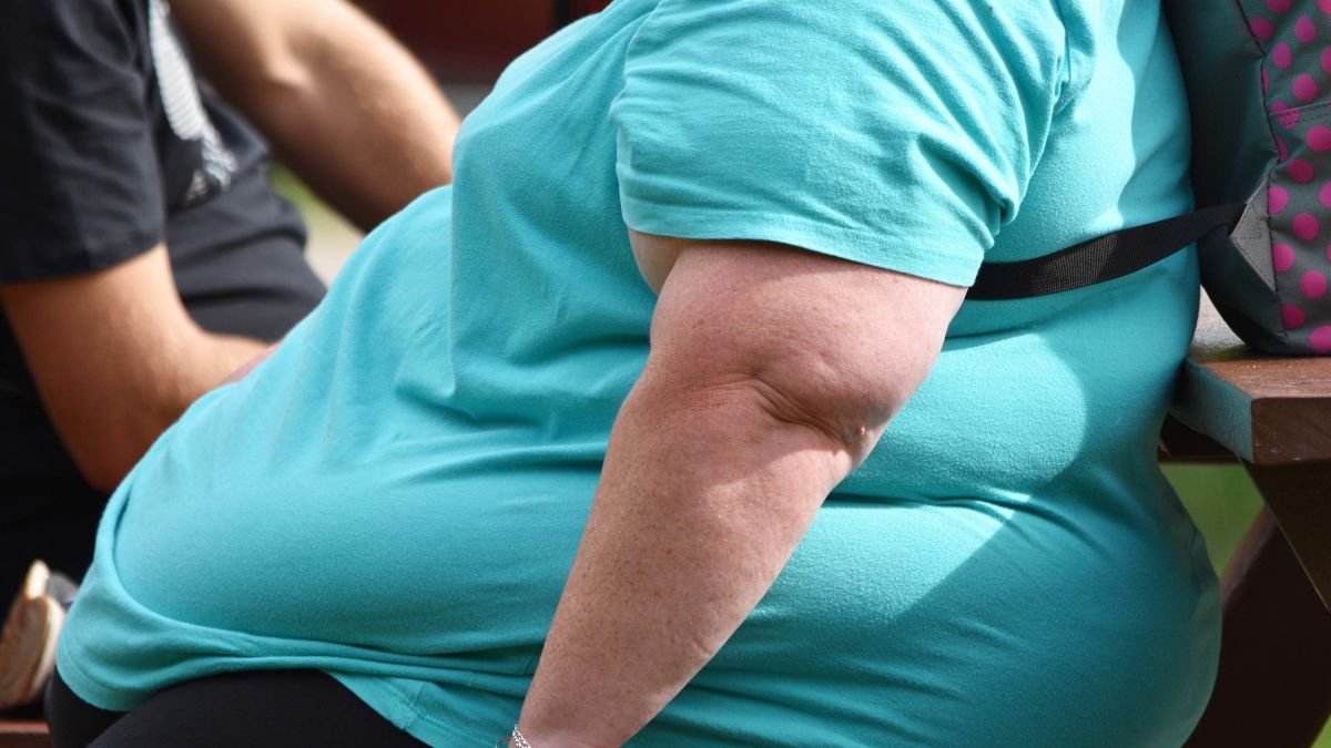 12 Visuals that show why 70% of Americans are overweight or obese. 🧵