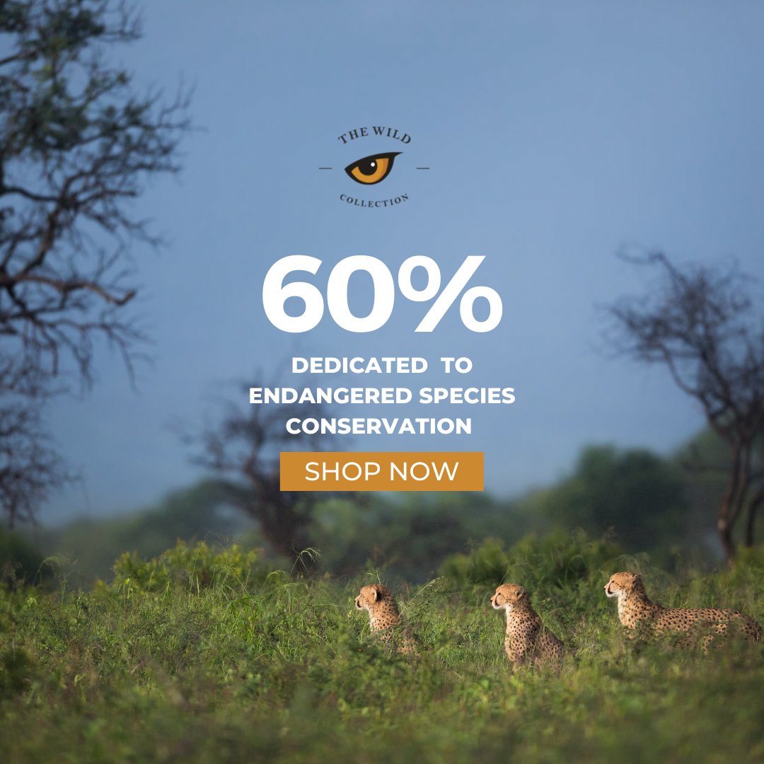 WildCollection_'s tweet image. We are an apparel and product brand that contributes to endangered species conservation with 60% of profits dedicated to the Wildlife ACT Fund. 

The WILD Collection - Keeping it WILD for conservation

theWILDcollection.co.za 

#TheWILDCollection #WildlifeACT
