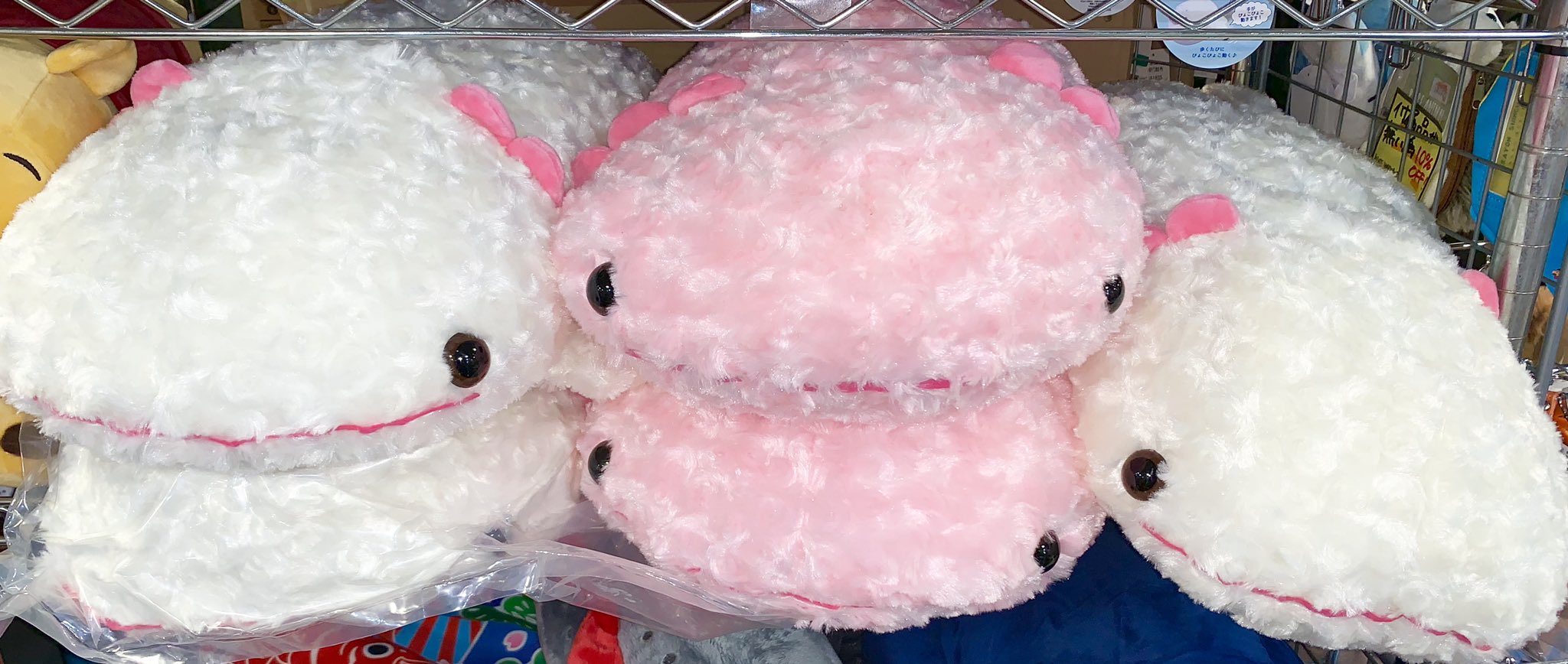ウーパールーパーぬいぐるみ もちうぱ ピンク mini ミニサイズ ウーパールーパー ぬいぐるみ