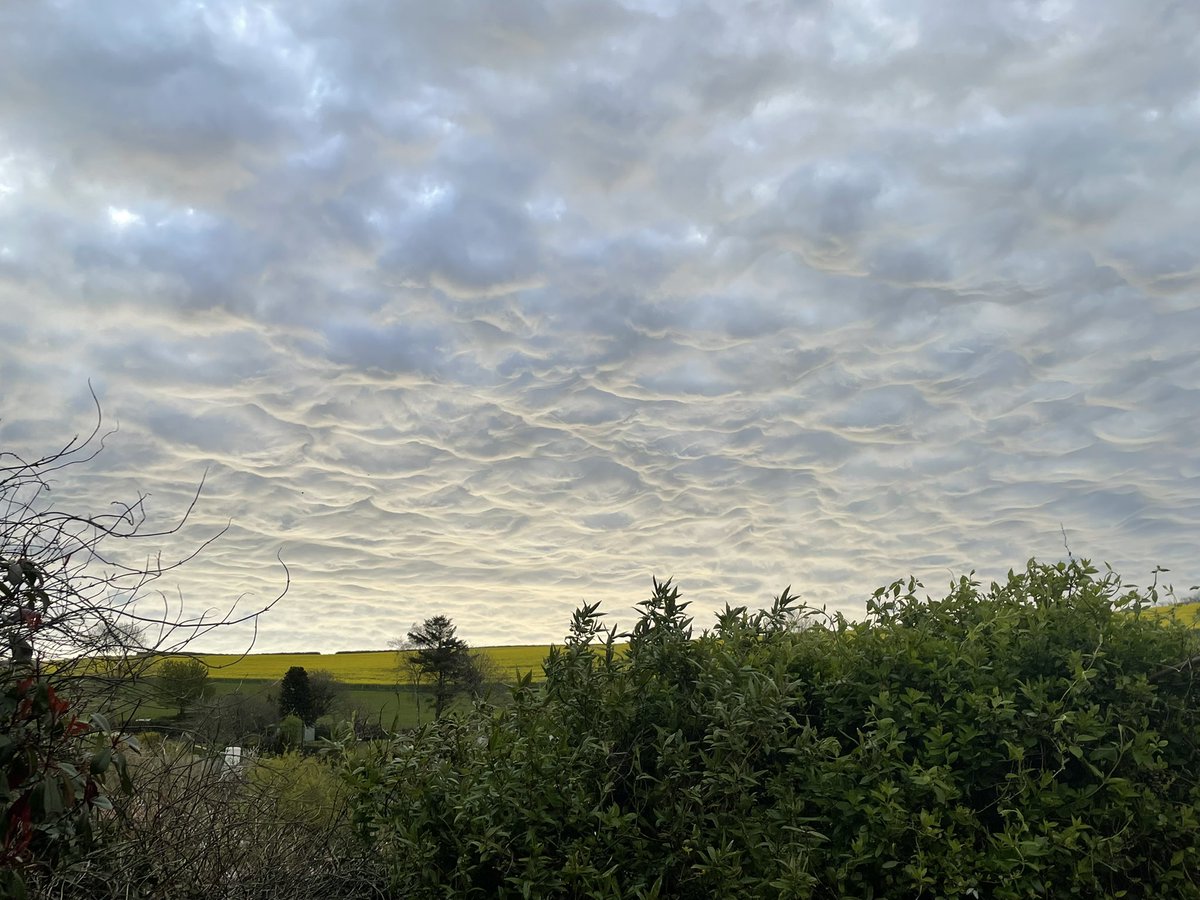 darcy_brady's tweet photo. Woke up in an oil painting this morning ☁️ 🖼 🎨 ✨ https://t.co/ALLYUVYnZl