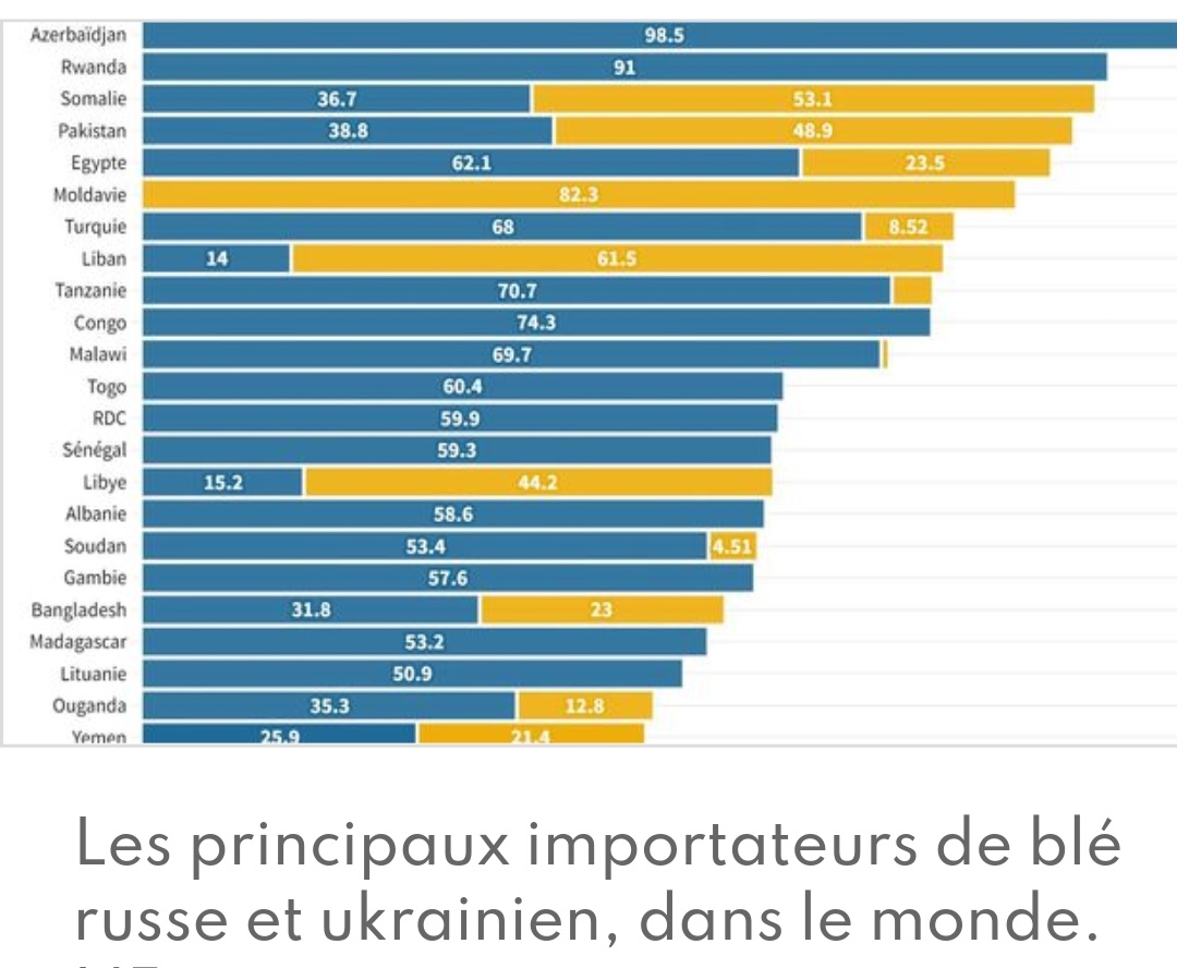 Minima OFF tweet media