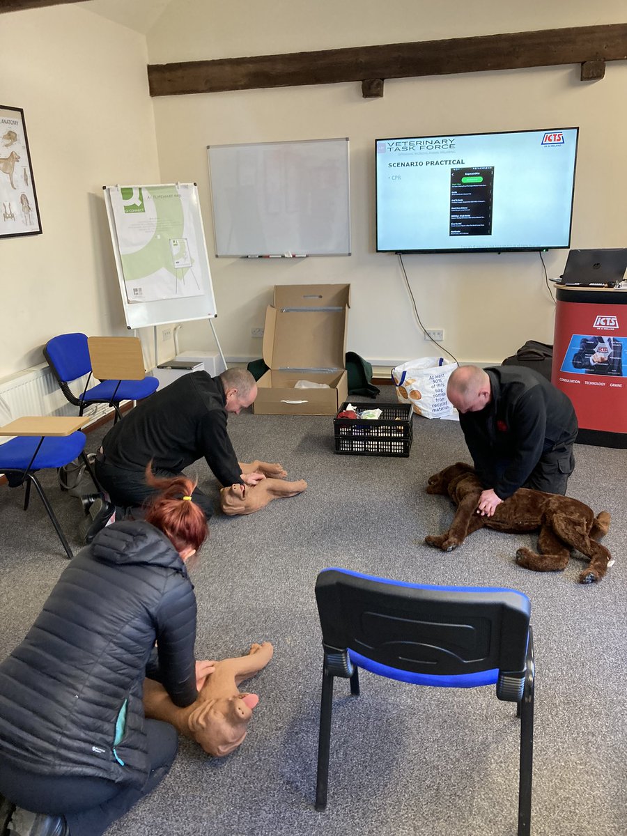 vettaskforce's tweet photo. Great to roll out a full Veterinary Assurance package for @ICTSUK. 

This included full health checks of all dogs, vaccinations, anti-parasite treatment provision and Fit for Duty certification, along with a half day Operational Working Dog First Aid. https://t.co/nz7N4gYMmz
