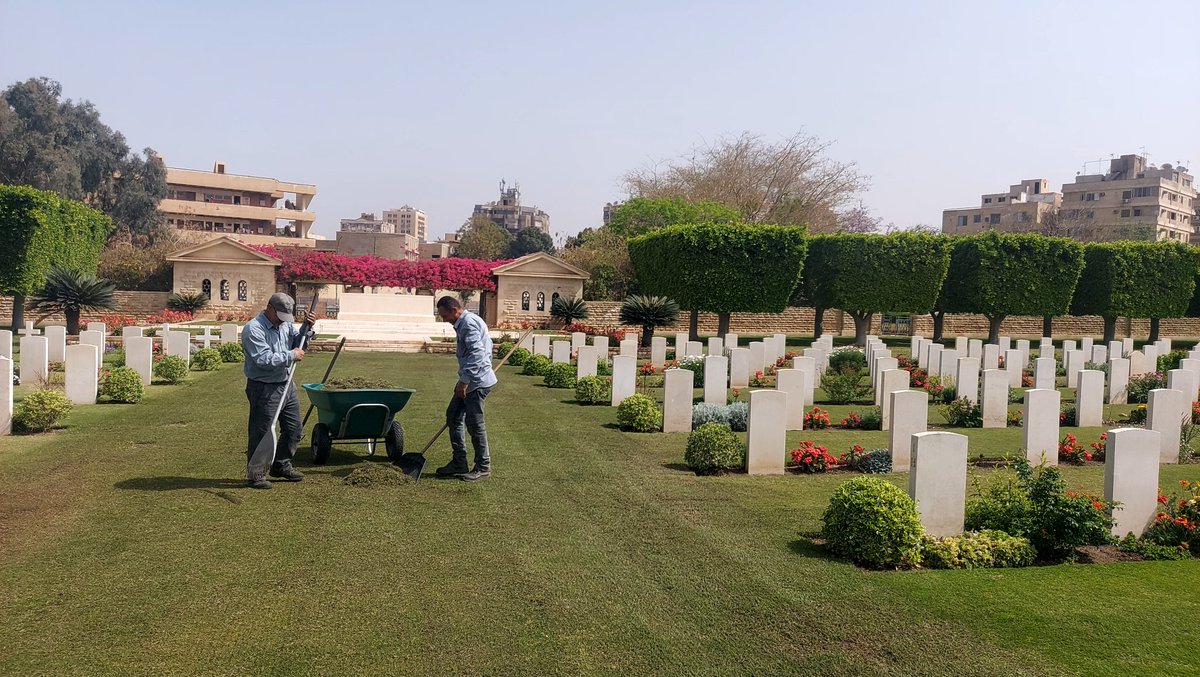 baghdady_rashed's tweet photo. Turf scarification at Heliopolis war memorial cemetery @CWGC @AAPAComms @RodCarkett @georgeelia5 @MamdouhWahed3 https://t.co/TpDlQMwmkY