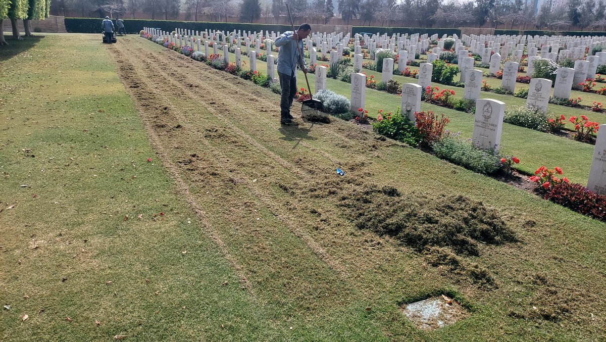baghdady_rashed's tweet photo. Turf scarification at Heliopolis war memorial cemetery @CWGC @AAPAComms @RodCarkett @georgeelia5 @MamdouhWahed3 https://t.co/TpDlQMwmkY