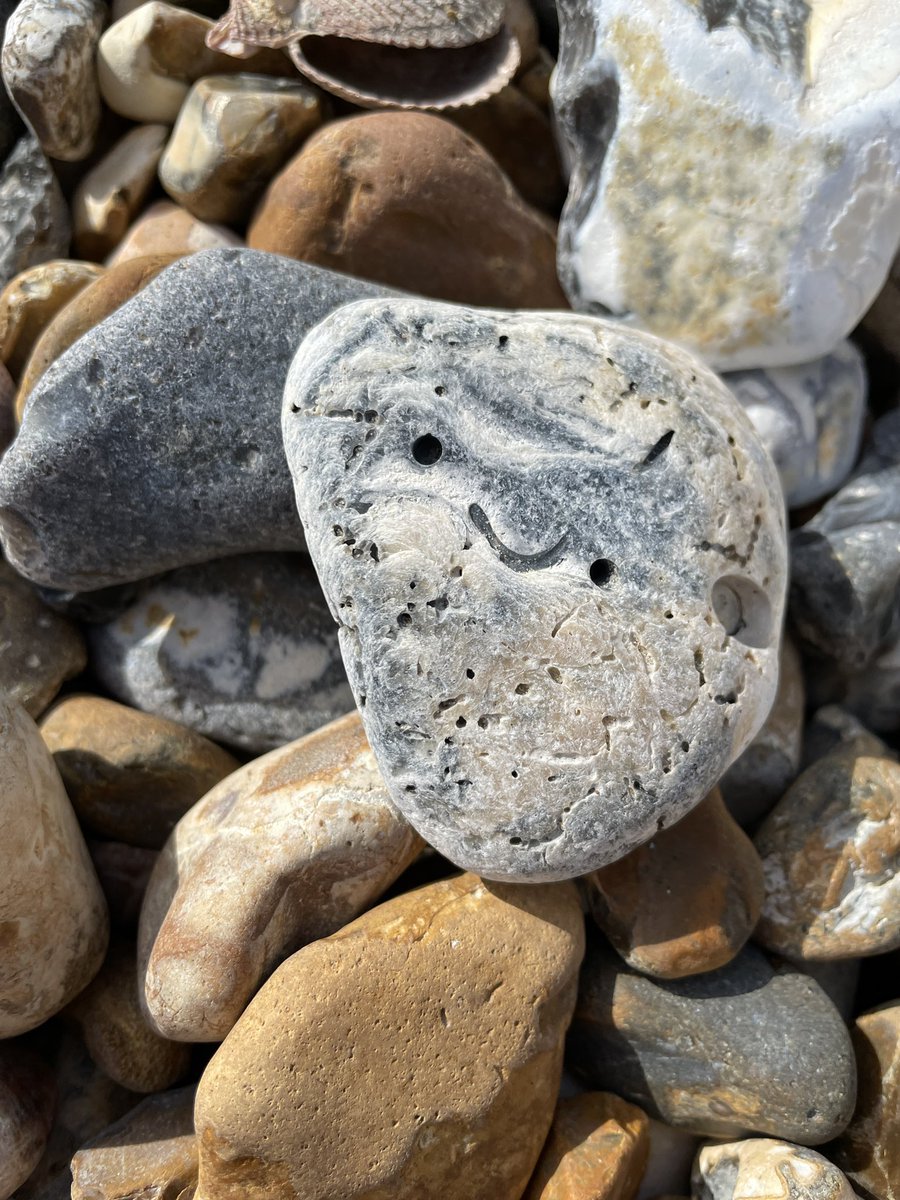 KLA2010's tweet photo. The faces on the pebbles here has me in stitches - this little fellow looks far too happy to be on a cold English beach. #facesonobjects https://t.co/OfN0RRPxS3