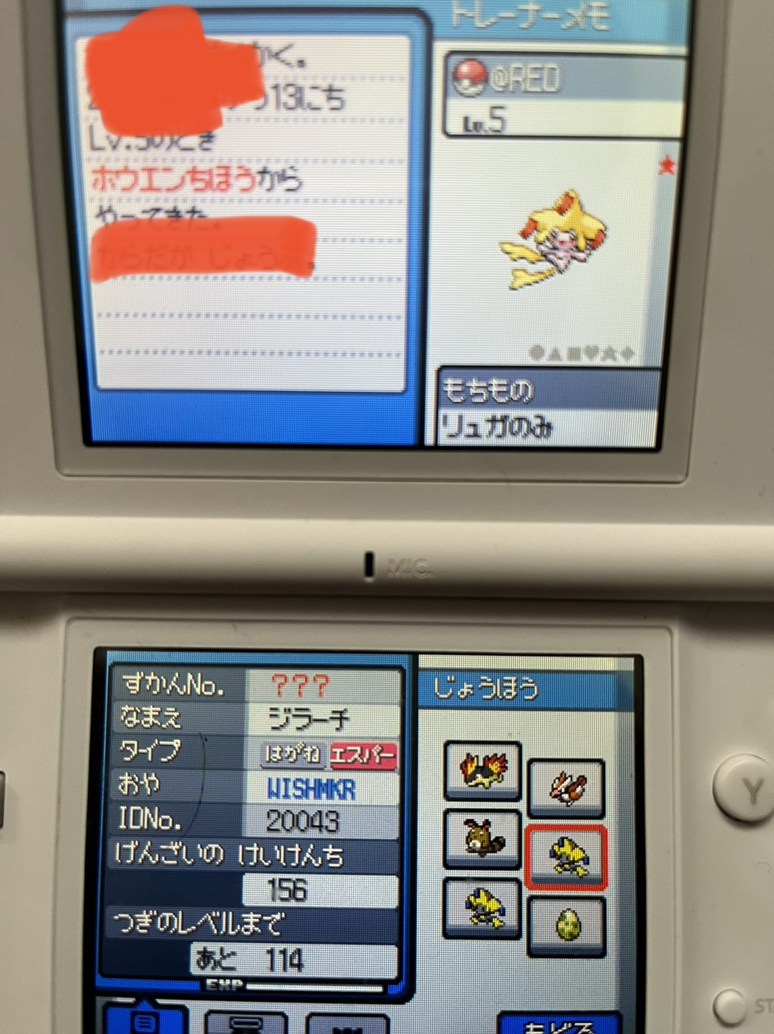レッド Kengo Twitter