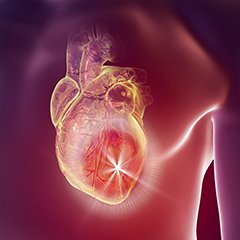ISSalute_it's tweet photo. Dolore al petto? In alcuni casi potrebbe trattarsi di angina pectoris. Cosa devi sapere? 👉https://t.co/VC17ZrmfuZ #torace #salute #cuore #anginapectoris #ISSalute https://t.co/iCCntEUhsA