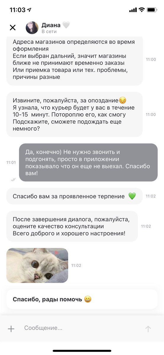 храни бог таких сотрудников поддержки <a href="/DeliveryClub/">Brenda Pruitt</a> 🥺😭😭