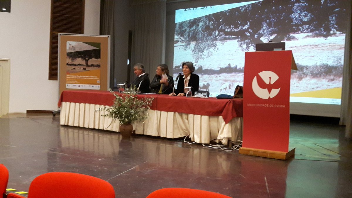 Davide Rizzo tweet media