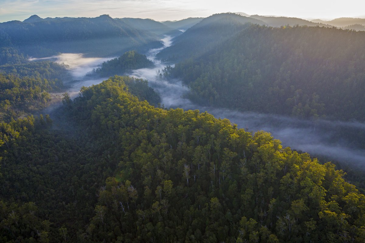 BobBrownFndn's tweet photo. 🌏  You can save our forests and oceans for #futuregenerations.
Help us fight in the #forests and the courts to defend our #wildplaces. Become an #EarthDefender for $30 per month.
✊ Take #ActionforEarth
DONATE NOW: https://t.co/aXw5Y930gS
#BobBrownFoundation https://t.co/Nfa1o7dPRN