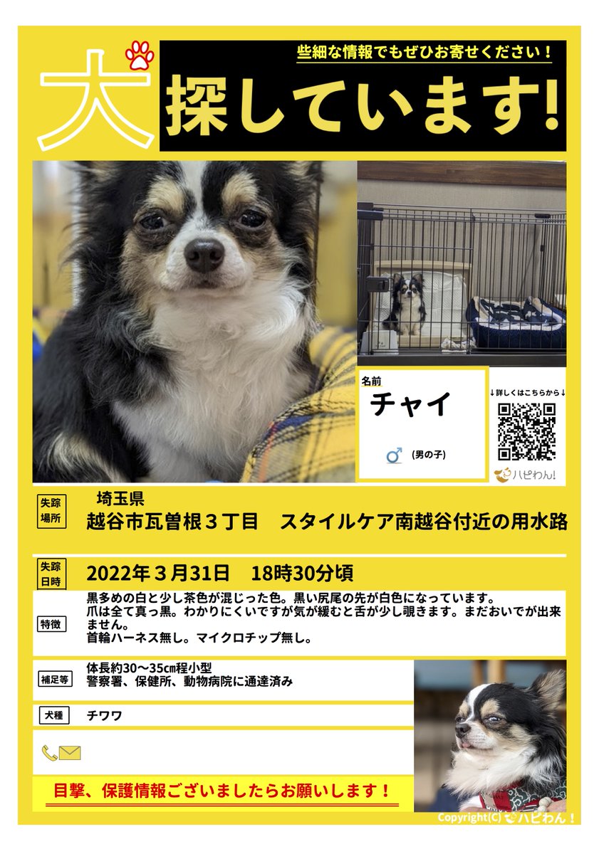 #迷子犬 #迷い犬 #ハピわん #迷子犬センター #ワンコ #犬 #拡散希望  
#埼玉県 #越谷市 #さいたま市 #春日部市 #川口市 #草加市 #吉川市 #松伏町 https://t.co/mKKsFyh0qm